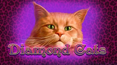 Diamond Cats